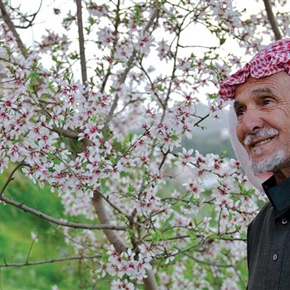 المزارع عبد الرحمن الحسني أمام شجرة اللوز
